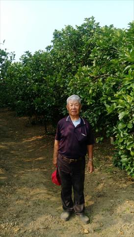生產者圖片