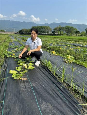 生產者圖片