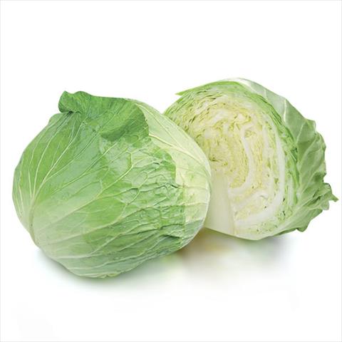 生產者圖片
