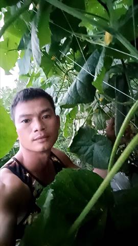 生產者圖片