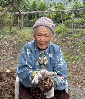 生產者圖片