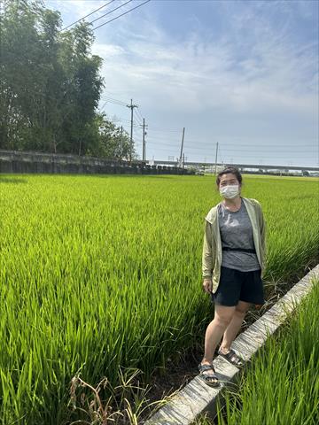 生產者圖片