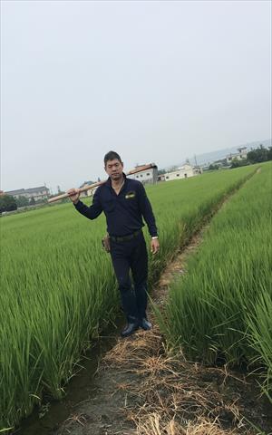 生產者圖片