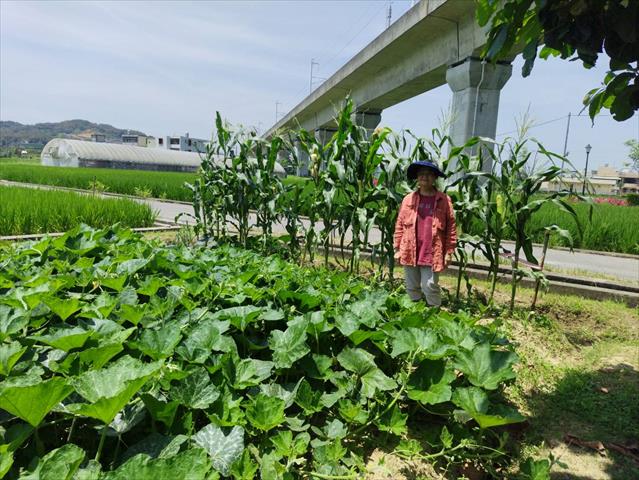 生產者圖片