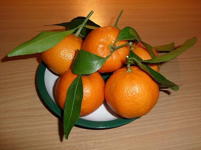 生產者圖片