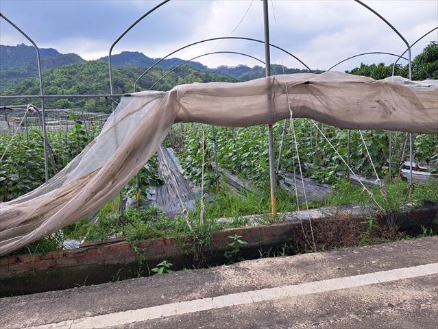 生產者圖片