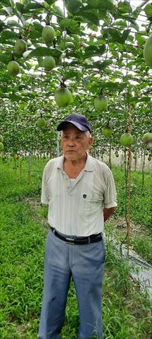 生產者圖片