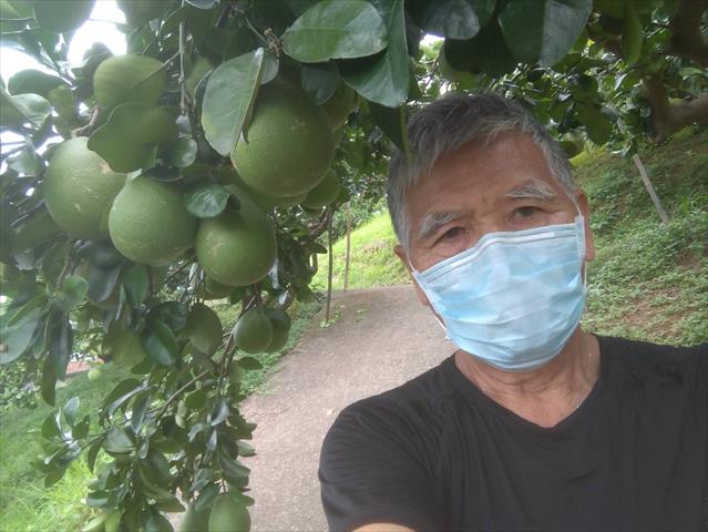 生產者圖片