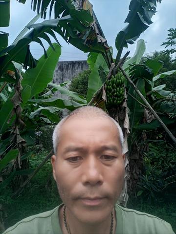 生產者圖片