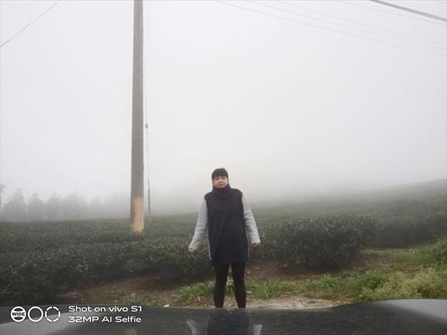 生產者圖片