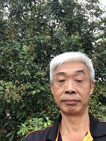 生產者圖片