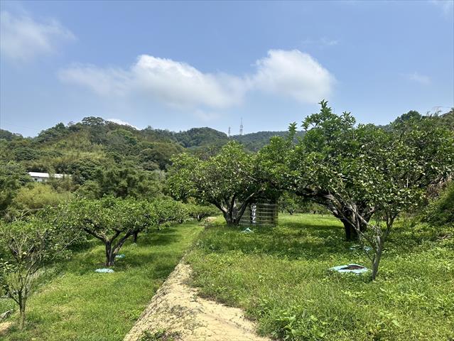 生產者圖片
