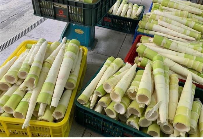 生產者圖片