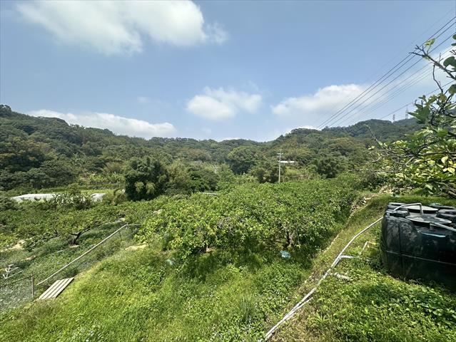 生產者圖片