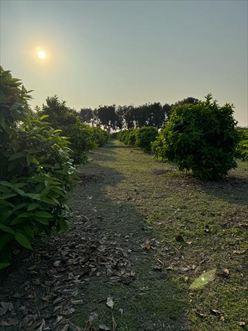 生產者圖片