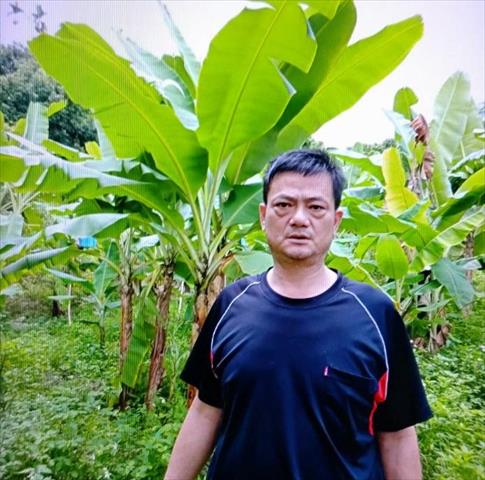 生產者圖片