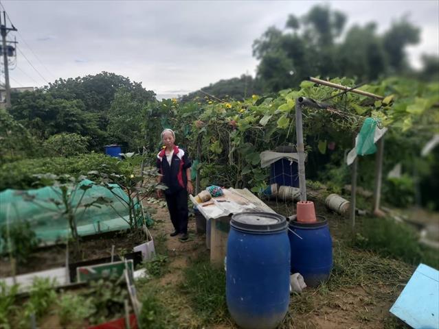 生產者圖片