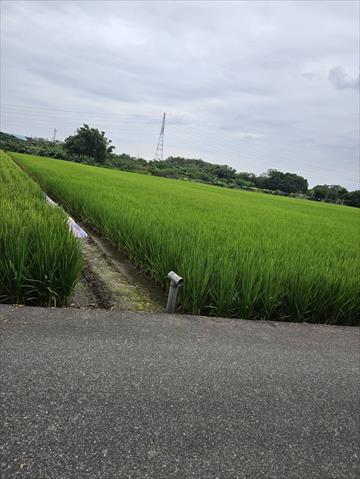 生產者圖片