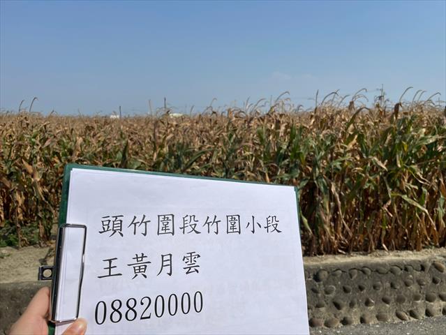 生產者圖片