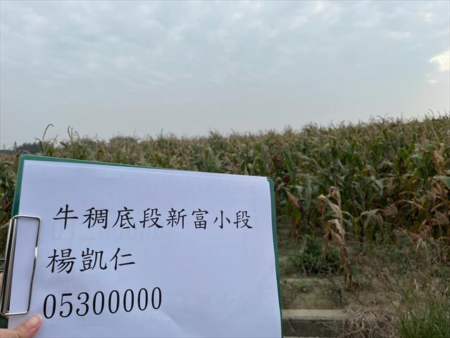 生產者圖片