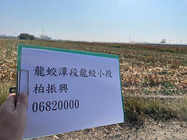 生產者圖片