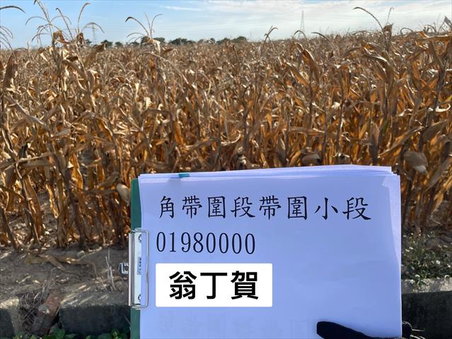 生產者圖片