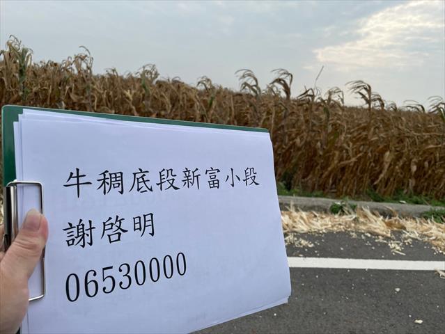 生產者圖片