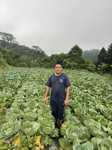 生產者圖片