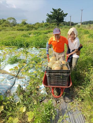 生產者圖片