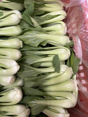 生產者圖片