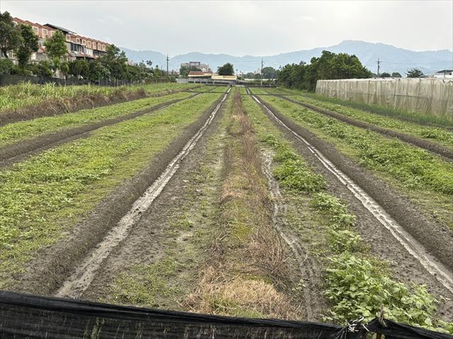 生產者圖片