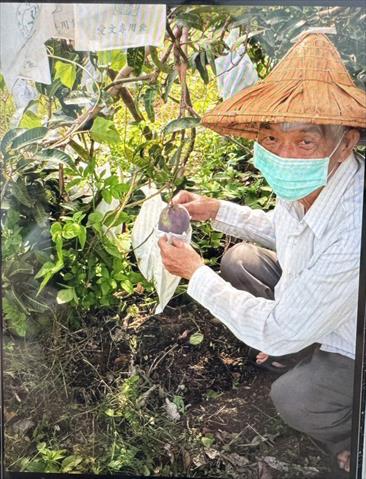生產者圖片