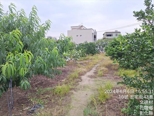 生產者圖片
