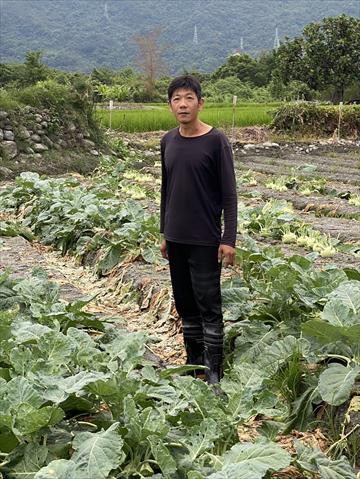 生產者圖片