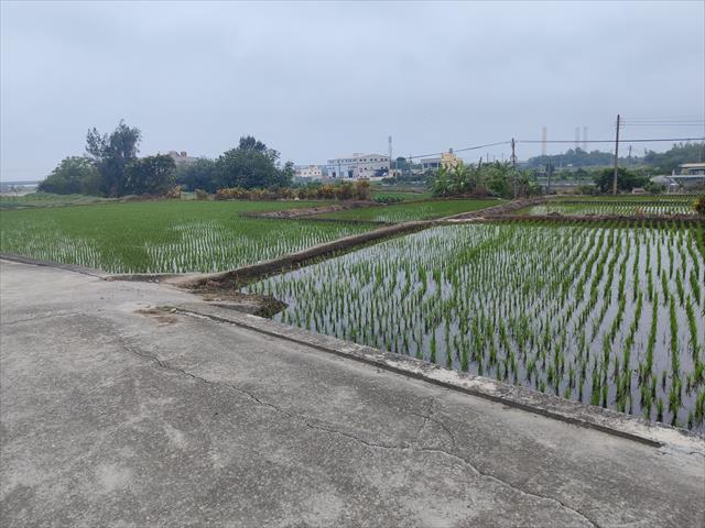 生產者圖片