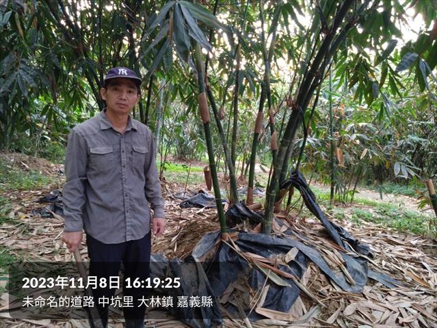 生產者圖片