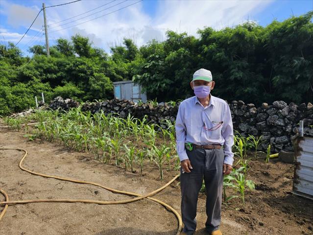 生產者圖片