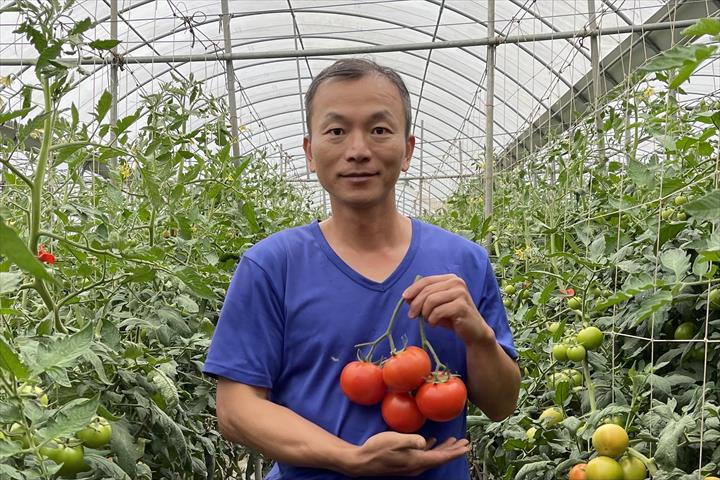 生產者圖片