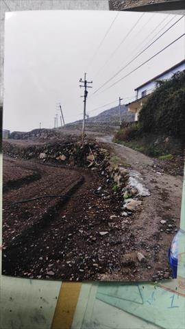 生產者圖片