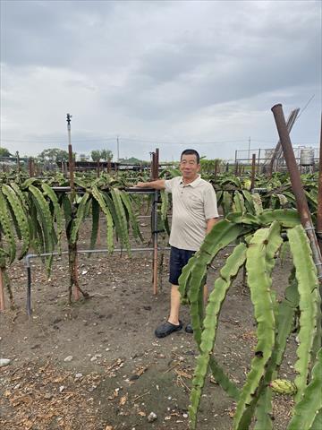 生產者圖片