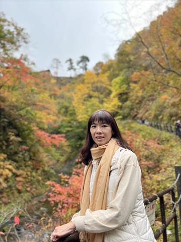 生產者圖片