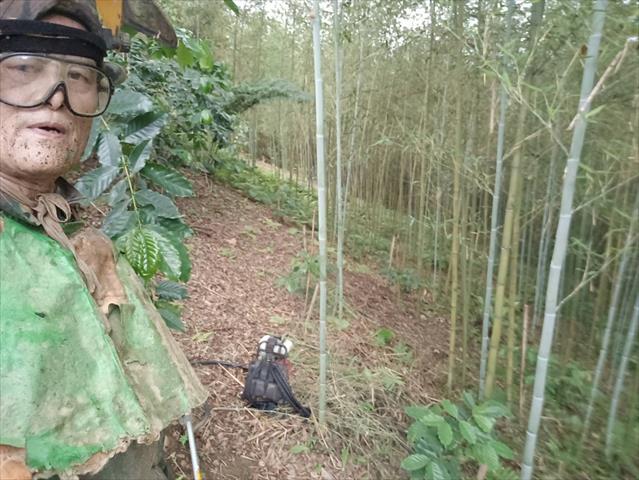 生產者圖片