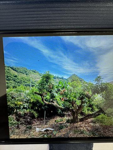 生產者圖片