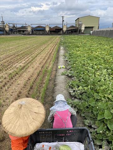 生產者圖片