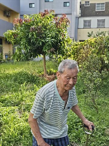 生產者圖片