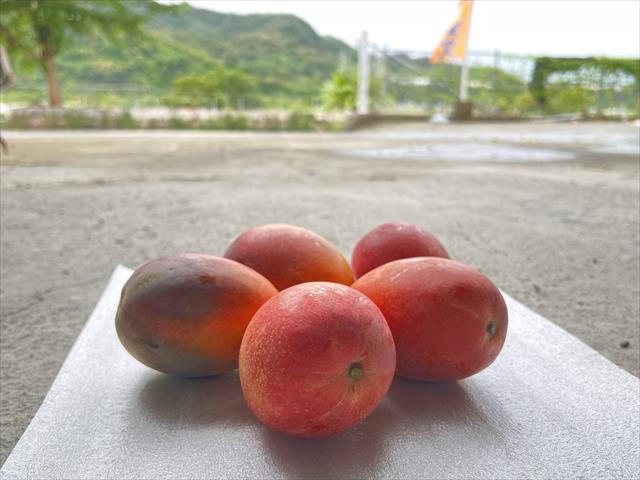 生產者圖片
