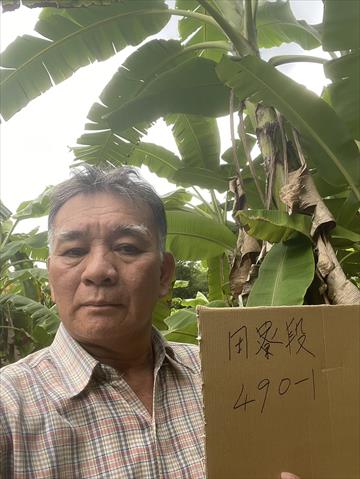 生產者圖片
