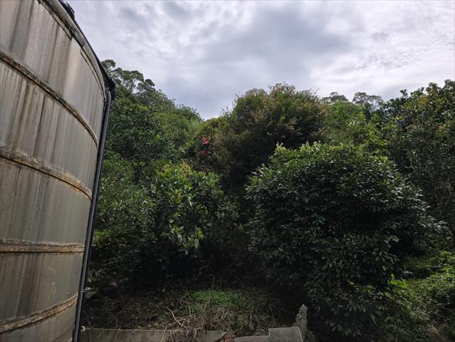 生產者圖片