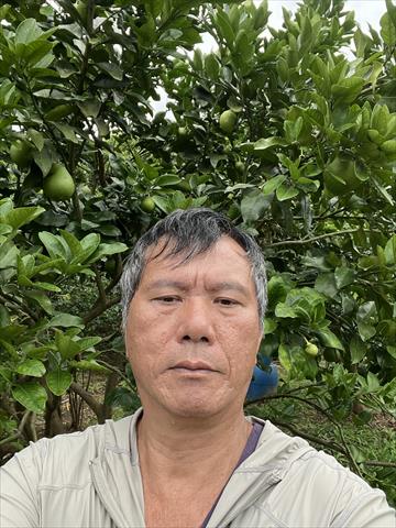 生產者圖片