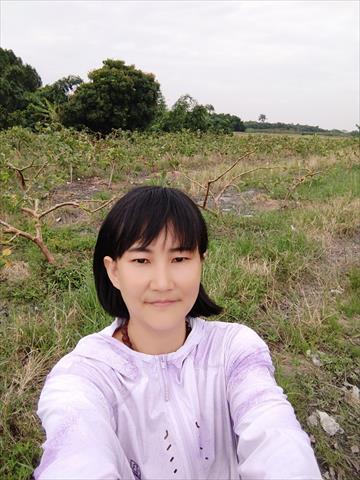 生產者圖片